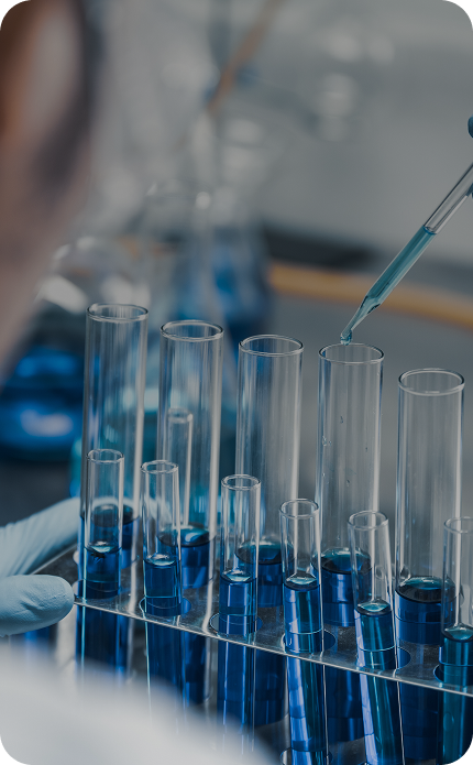 식물 줄기세포 <br>기반 기술