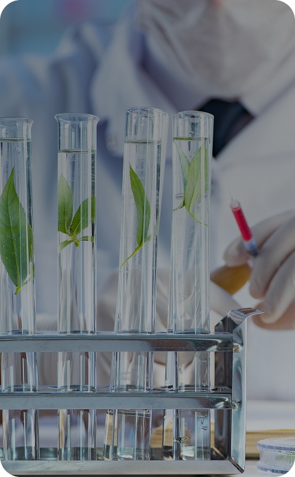 식물 조직배양<br>기술 혁신