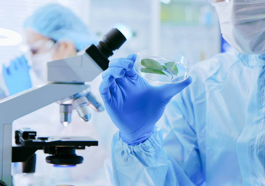 식물생명공학 및 배양기술